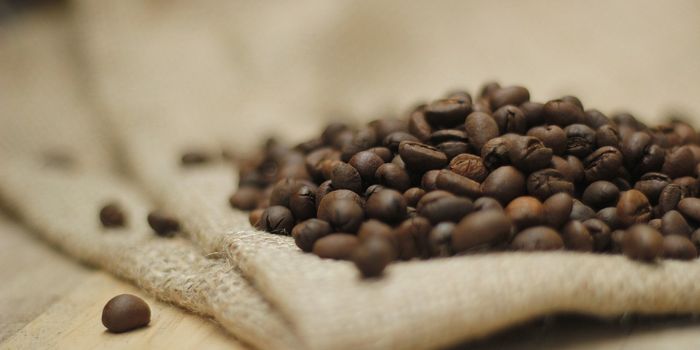 Favorite Consumer Goods Drive Deforestation and Increase Malaria Risk