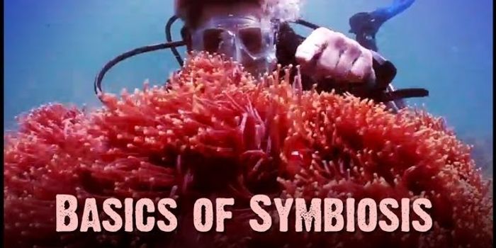 Symbiosis: Mutualism, Commensalism, and Parasitism
