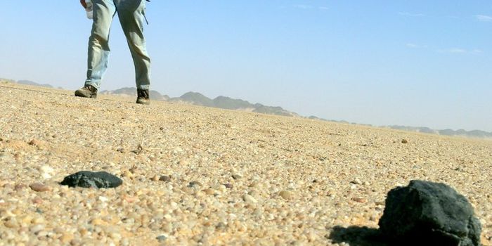 Minerals Inside This Meteorite May Hold Clues About the Early Solar System