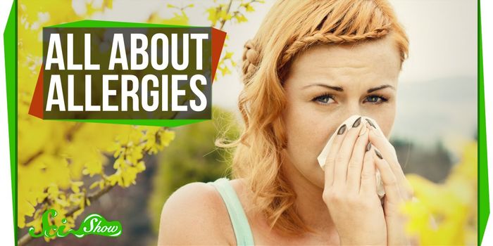 Why am I always sneezin? Oh, allergy season!