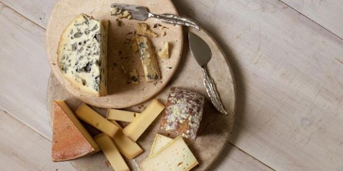 Microbes in Cheese Use Those Funky Smells to Communicate