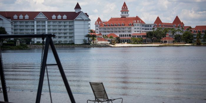 Alligator Claims Toddler's Life in Orlando, Florida