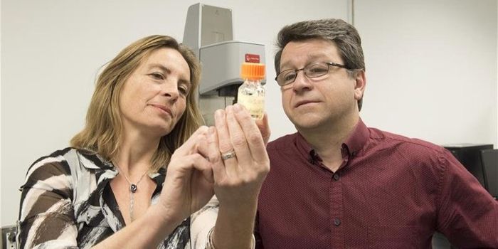 Kill Cancer with an Intelligent, Injectable Gel?