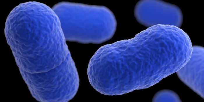 A Deeper Understanding of How Some Bacterial Toxins Interact With Cells