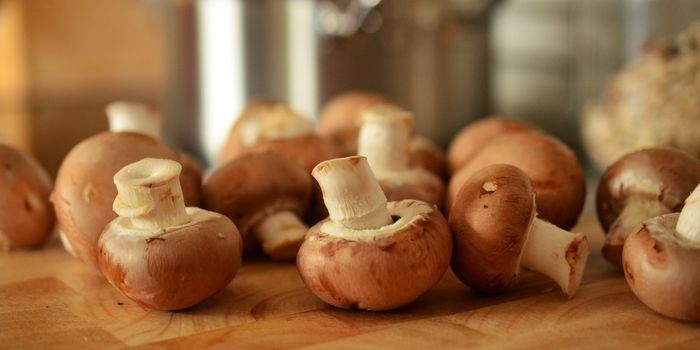 How Eating Mushrooms Improves Gut Health
