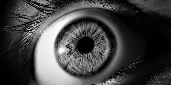 Some Cases of Blindness are Linked to Gut Bacteria