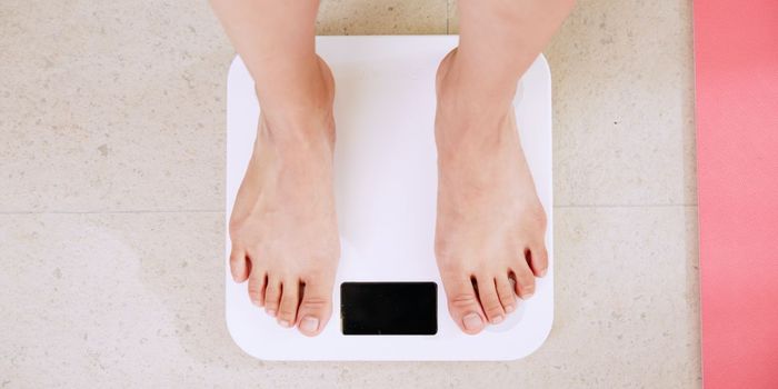 Positive Effects of Most Popular Diets Disappear After a Year