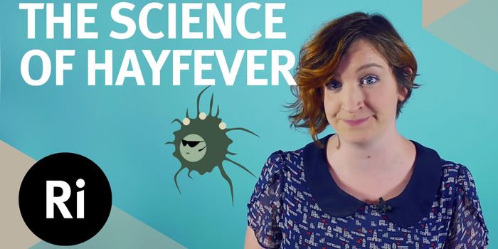 Would You Treat Your Allergies and Chronic Diseases by Ingesting Parasitic Worms?