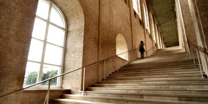 Taking the Stairs May Help You Live Longer