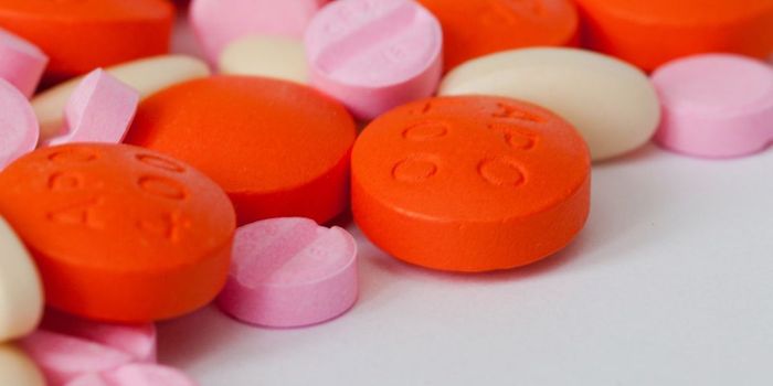 Darobactin: Promising New Drug to Combat Antibiotic Resistance