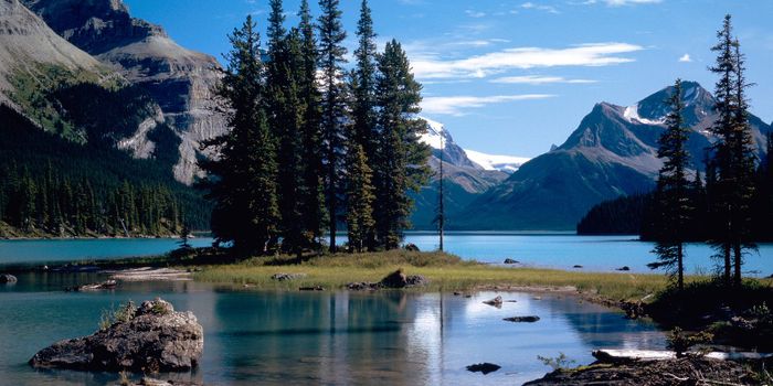 Science proves spending time in nature makes you happier