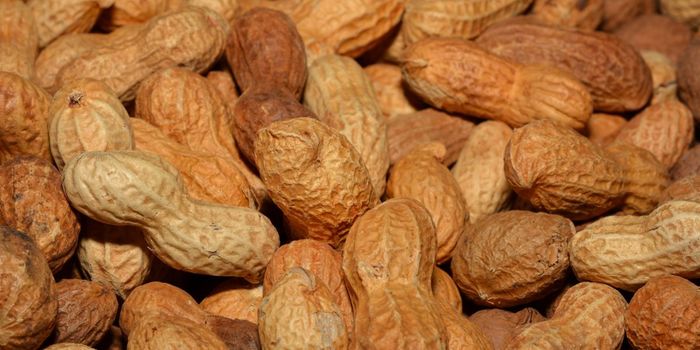 New Injection that Treats Peanut Allergy