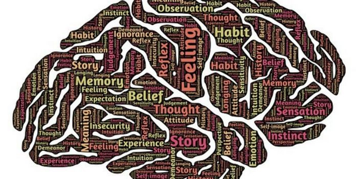 Seeing Memories Form at the Molecular Level