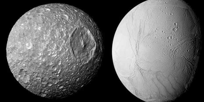 An Internal Ocean Lurking Under the Surface of Small Saturn Moon