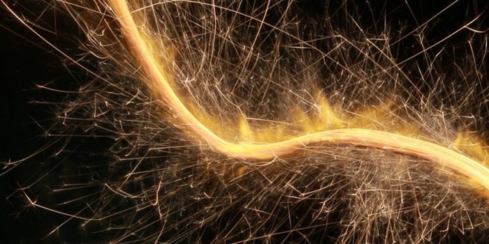 Multiple Sclerosis May be Related to Mitochondrial Dysfunction