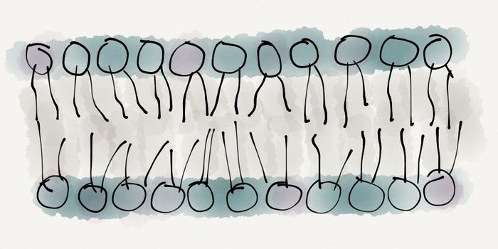 Poking Holes in Antibiotic Resistance