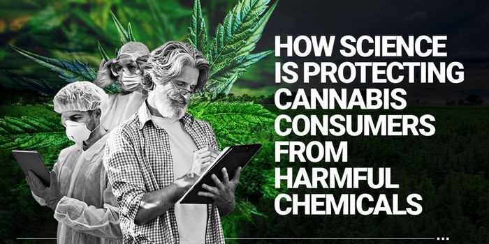 How Science is Protecting Cannabis Consumers from Harmful Chemicals