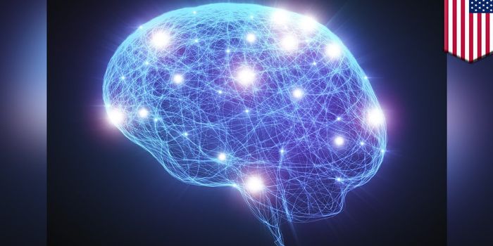 Researchers Discover a New Kind of Neural Communication