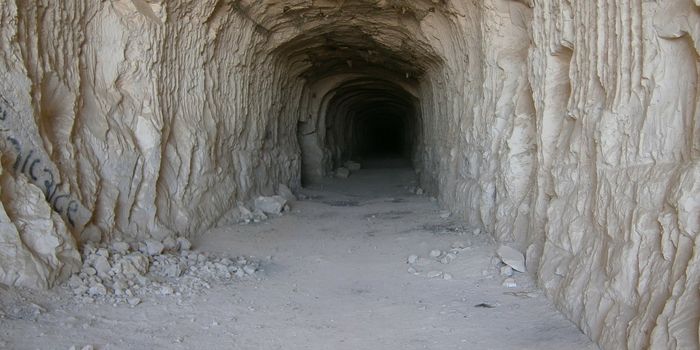 Undiscovered Tunnels from Bone Marrow To Brain