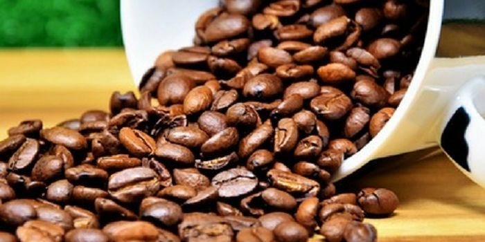 Can Caffeine Levels Be a Biomarker for Parkinson's Disease?
