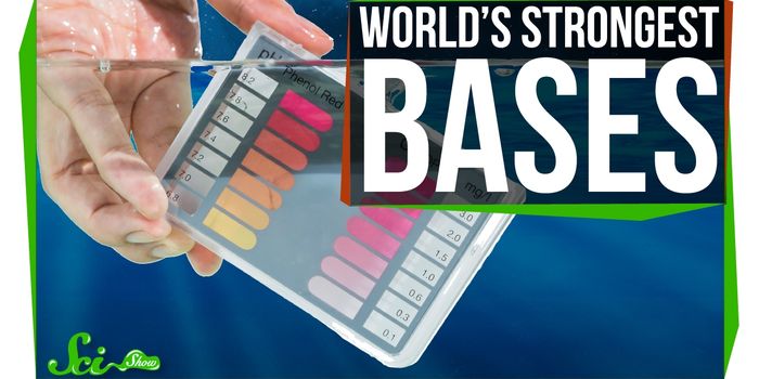 Fantastic Bases and Where to Find Them