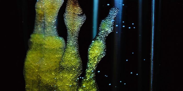 Scientists develop new hydrogel material