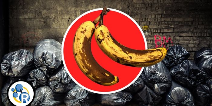 Can You Eat Food Past the Printed Date?