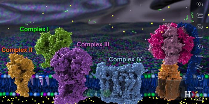 Measuring the Heat That Mitochondria Release