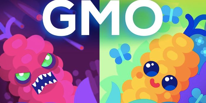 Are GMOs Safe?