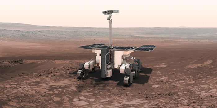 Two Possible Landing Spots for the ExoMars 2020 Rover