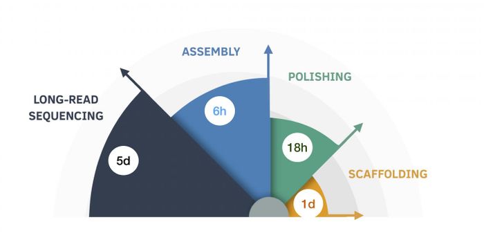 Advances in Genome Sequencing Technology