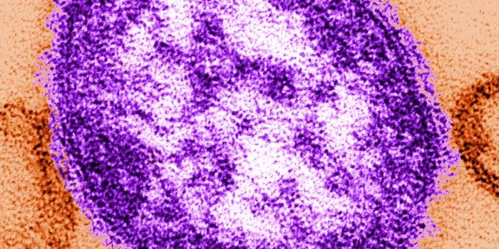 Measles Deaths Surge as Vaccinations Lag
