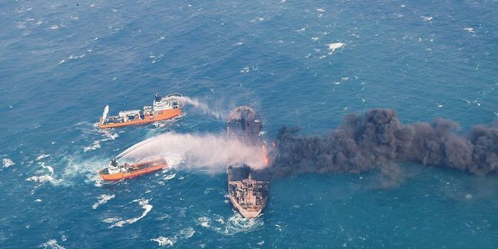 Seafood contamination feared after spill in East China Sea