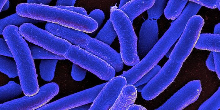 More Research Links ALS to the Microbiome