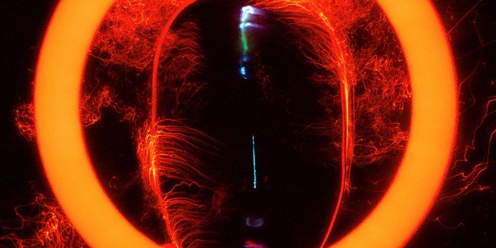 Extinguishing Fires in the Brains of MS Patients