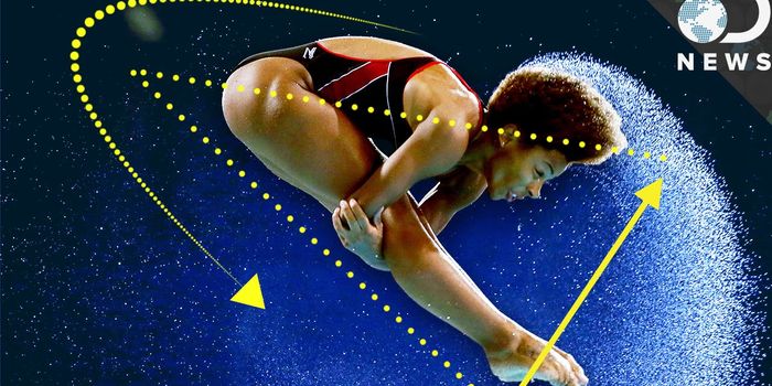 High Dives and Physics