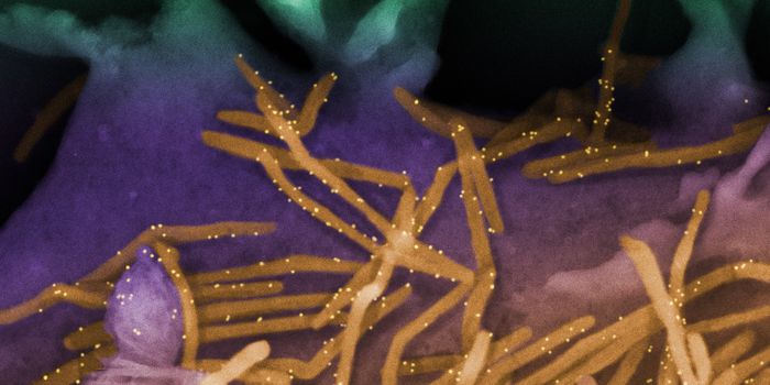 Is a 'Tridemic' on the Way This Winter?