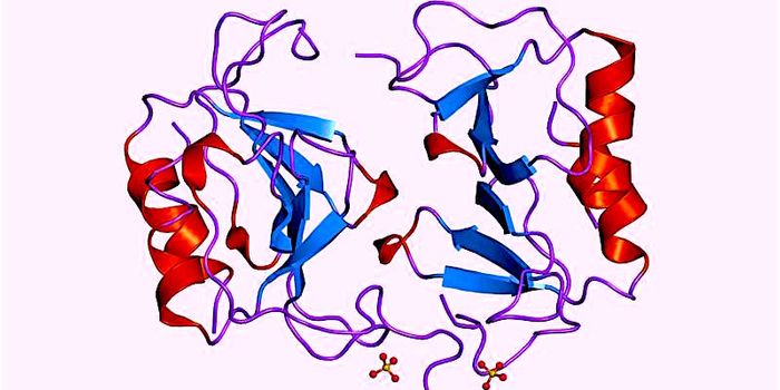 Scientists Find a Biomarker for Transplant Rejection