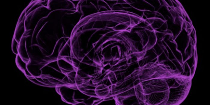 Certain Cell Types Found to Underlie Schizophrenia