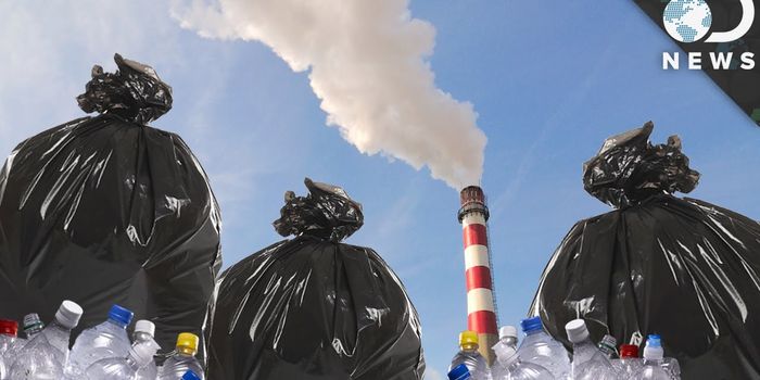 Should we burn our trash?