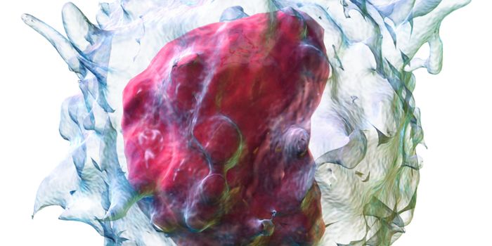 Tumor Model Accurately Predicts Patient Response to Immunotherapy