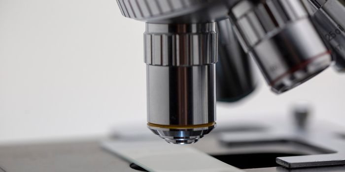 Possible Non-Antibiotic Strategy for Treating Bacterial Meningitis