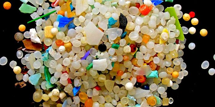 UK rivers toxic with microplastics