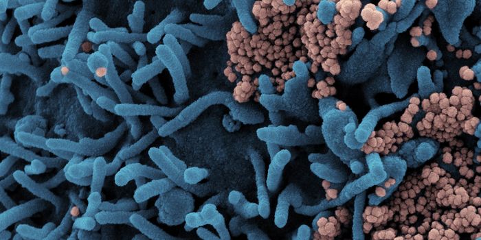 'Black Fungus' Seen in US COVID-19 Patients