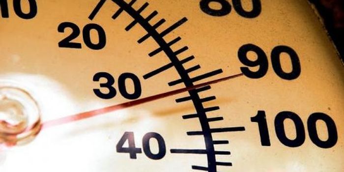 El Nino Heat Brings Dengue Fever