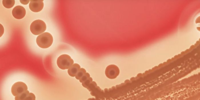 Hybrid Antibiotic Can Destroy Dangerous Staph Biofilms