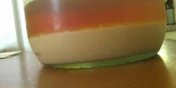 Domestication of Lager-Brewing Yeasts