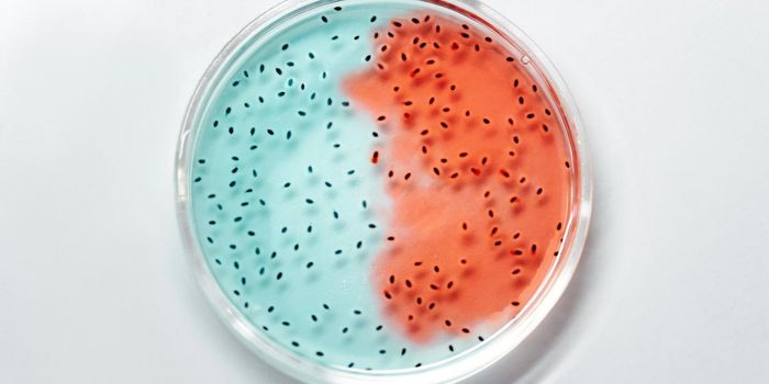 Changes in Mouth and Gut Microbiomes Linked to Parkinson's