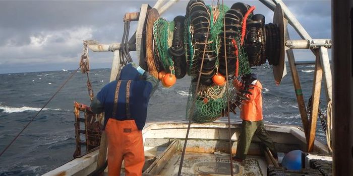 Are Maine's summers getting longer?