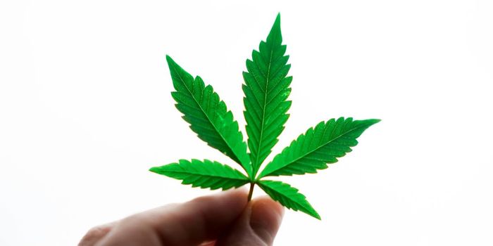 Cannabis Products from Unlicensed Stores Lack Safety Info